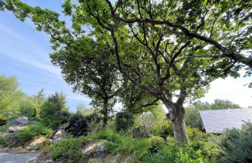 Beautiful 2BR Beach Lodge Set In Stunning Gardens - Pass the Keys - Photo 29