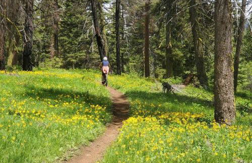 McCall Mountain Getaway - Pet Friendly - Photo 31