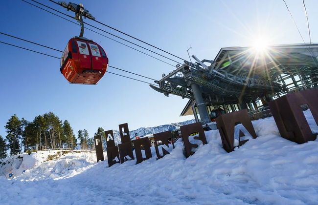 Shusski rental store - Andorra. - Photo 9