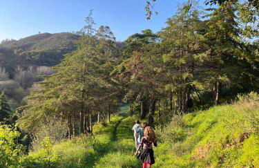 Studio Indigo - Foto 28