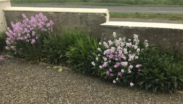 Park Cottage - Foto 2, Garden