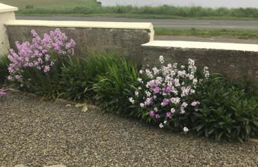 Park Cottage - Photo 2