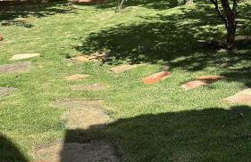 Lindo Sítio Estilo Moderno - Foto 31