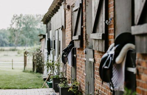Carpe Deimern in der Lüneburger Heide - Foto 17