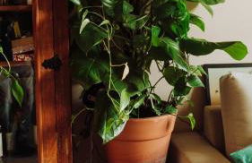 Apto em Campo Grande com Piscina e churrasqueira - Foto 21