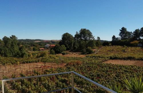 Single House - Foto 2