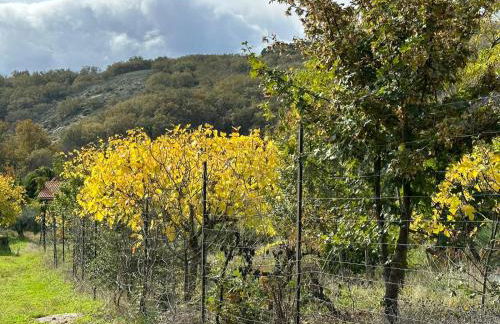 Casa rural Aloha Vera - Foto 13