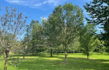 Pacy - Park City Home - Foto 16