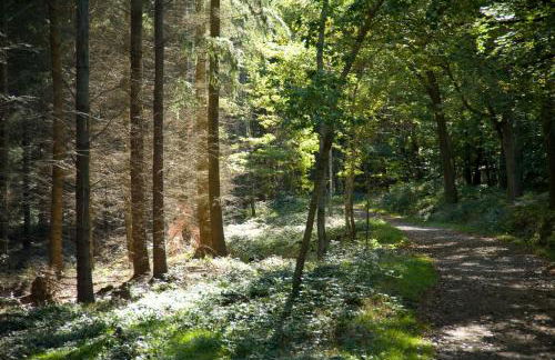 Riverside 2 bed apartment Bewdley Worcestershire - Foto 16