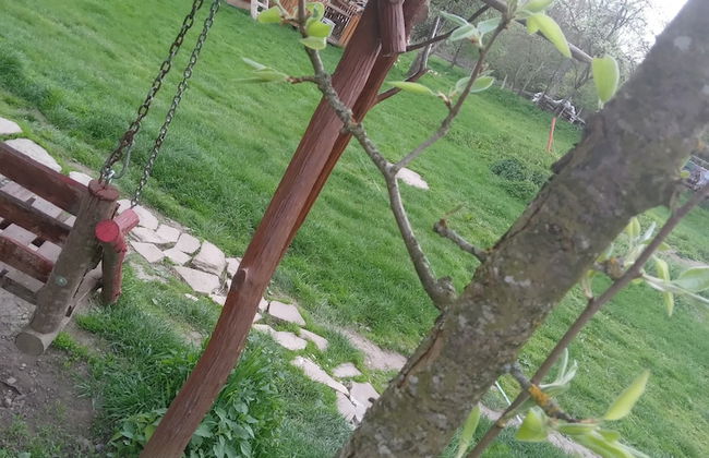 Room in Guest Room - Cozy Rural Retreat in Roşia Montana - Photo 73