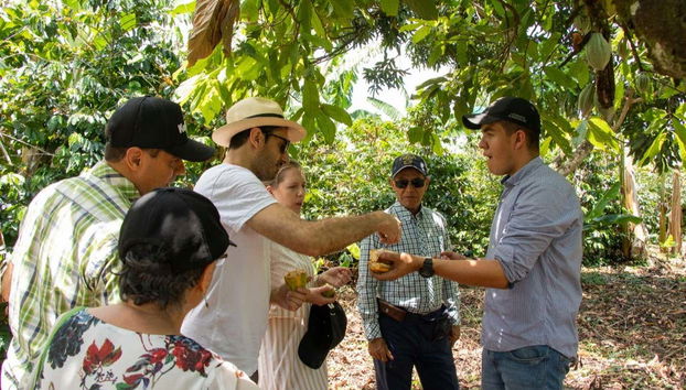 Escuchando al guía sobre el cacao