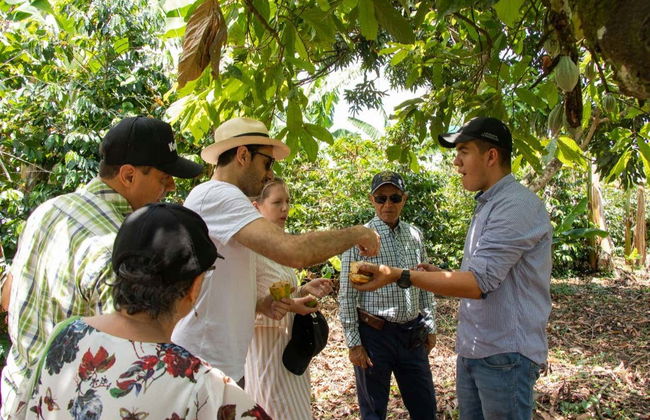 Visite autour du cacao dans la ferme El Argel - Photo 5