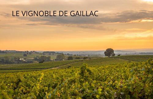 STUDIO COSY - HYPERCENTRE - CALME - 50M2 - Wi-FI - Foto 20