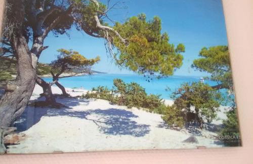 Maison confortable avec vue sur la mer et la montagne à Oletta. - Foto 18