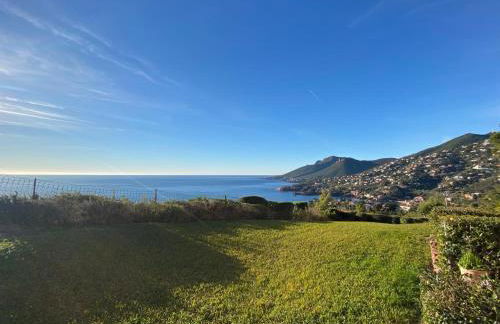 Vue Mer Et Jardin - Foto 13