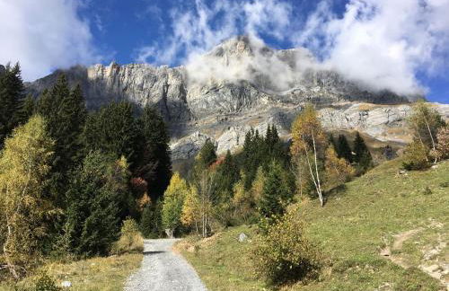 Fizhome Mt Blanc - Photo 13