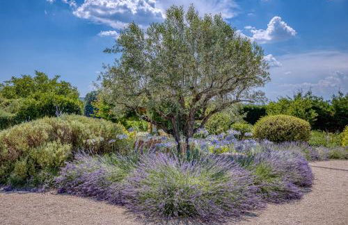 La Bastide des Oliviers Provence - Mirabel aux Baronnies - Foto 28