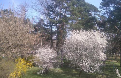 Apartament Górka Zdrój - Foto 20