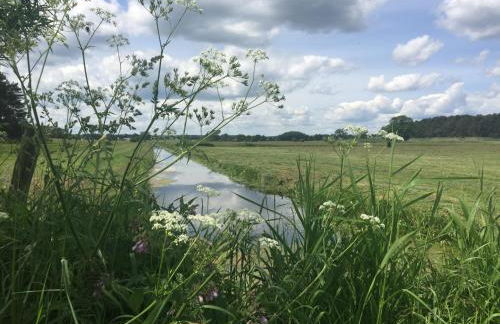 Ferienwohnung Seeblick - Insel Usedom - Foto 47