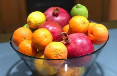 Lemon tree's house - Foto 25