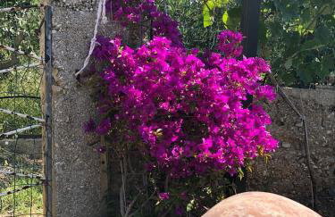 VILLA IL BLU direkt am Meer - Foto 29