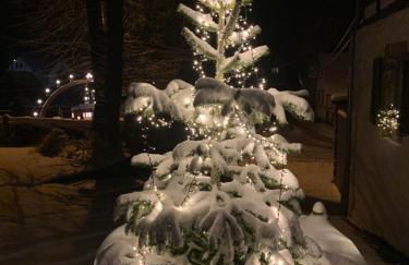 Landappartement Stritter - Photo 59