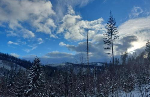 Apartamenty u Joli - Foto 27