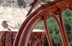 Villa Jolies - Foto 55