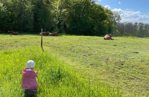 Chalet Lasserg - Foto 42