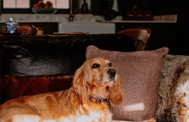 Slowley Farm - Foto 61