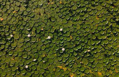 Private 37 Acre Lake Estate On 164 Acres - 11 Br - Foto 39