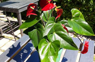 Point Twins Apartments - Foto 64