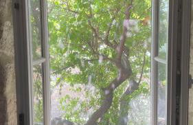 Chez Mi-Chèle - Foto 2