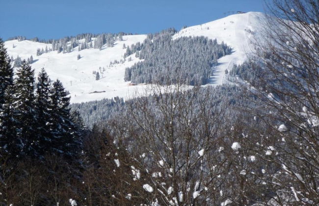 Chalet in Saalbach Near Ski Lift - Foto 31