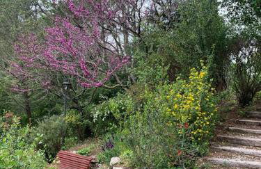 Vivenda de luxe a Barcelona - Foto 35