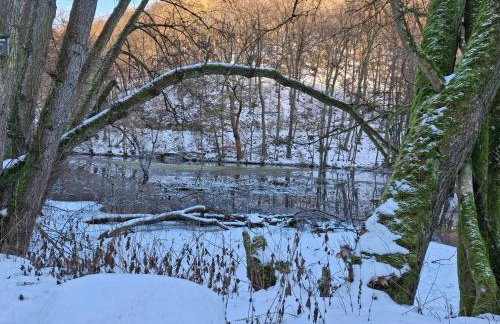 Fewo Waldfeeling - Photo 31