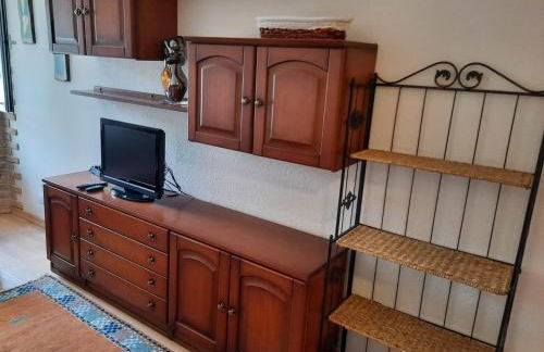 Estudio en estacion Ski San Isidro, León-Asturias - Foto 5