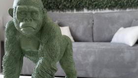 Gîte Relax'O'Zoo à 4min du Zoo - Foto 2