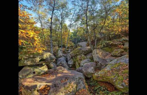 Milly COCOON / centre ville - Foto 22