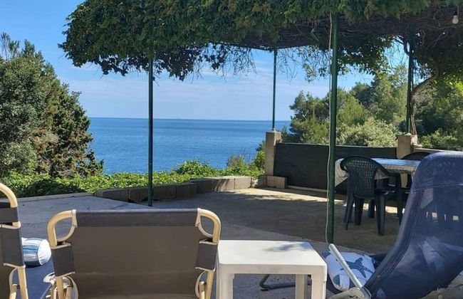 Cozy Robinson Crusoe-style House - Photo 7