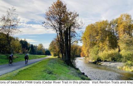 DT Stylish & Newly Renovated Home 2BR Sea Tac 6 Miles with AC - Foto 25