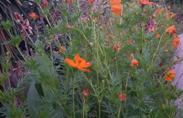 Eleni B&B - Photo 28