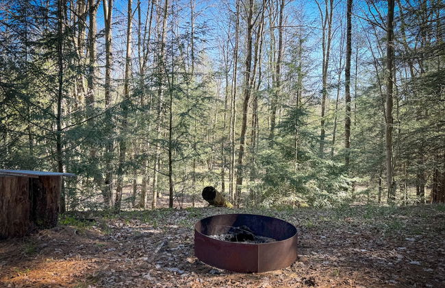 Boyer's Pond Campground - Foto 33