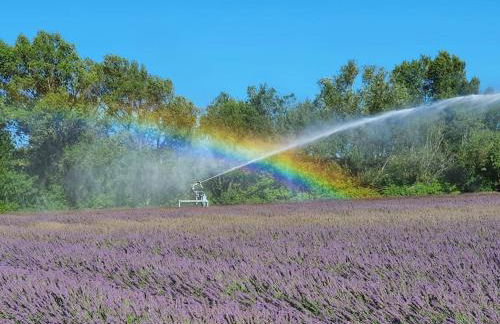 L'Ardeche en Provence avec jardin ombragé - Foto 18