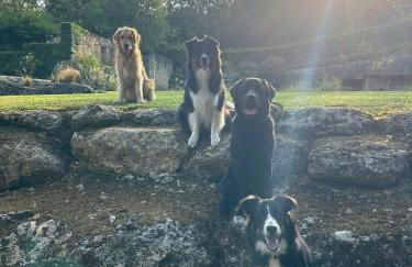 Peaceful Forest Retreat Near Saint Emilion - Foto 31