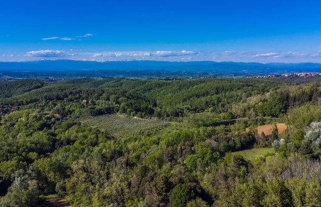 San Vivaldo, Nr. 11 - Foto 53