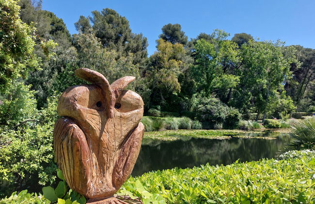 Les Rivages de Coudoulière - Foto 46