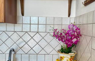 Villa Raffaela - Appartamenti Lacco Ameno - Foto 28