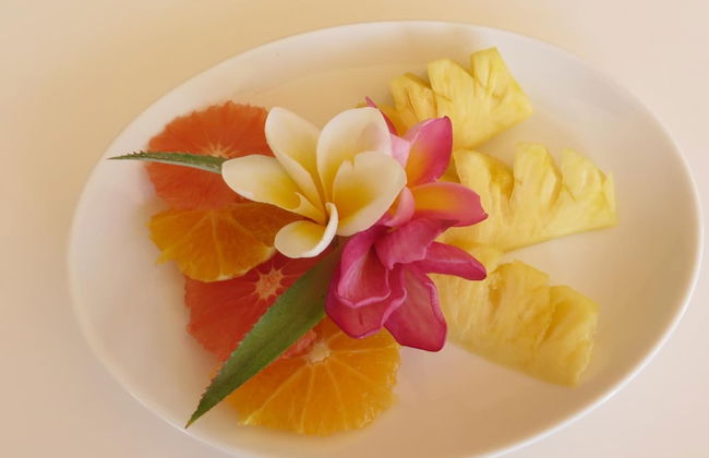 Villa Kreola - Foto 52