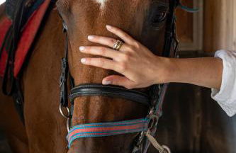 Family Farm Soc. Agr. a r.l. - Foto 15